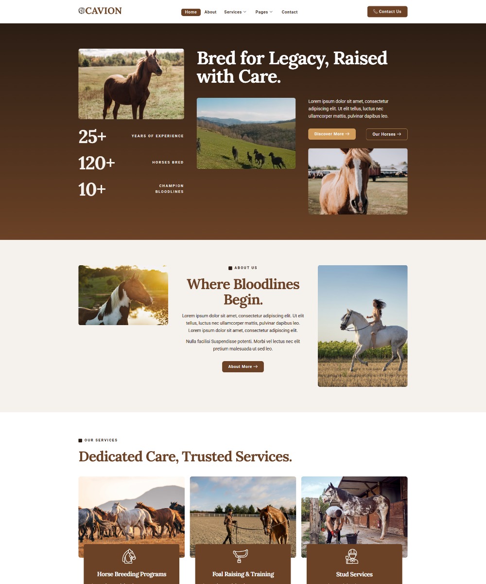 Cavion - Horse Breeding Business Elementor Template